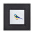 Vivid Pop of Colour Little Birdie Wall Decor